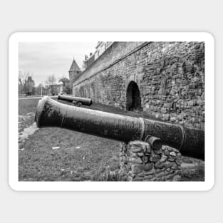 Row of Canons in the Dutch city of Maastricht Sticker